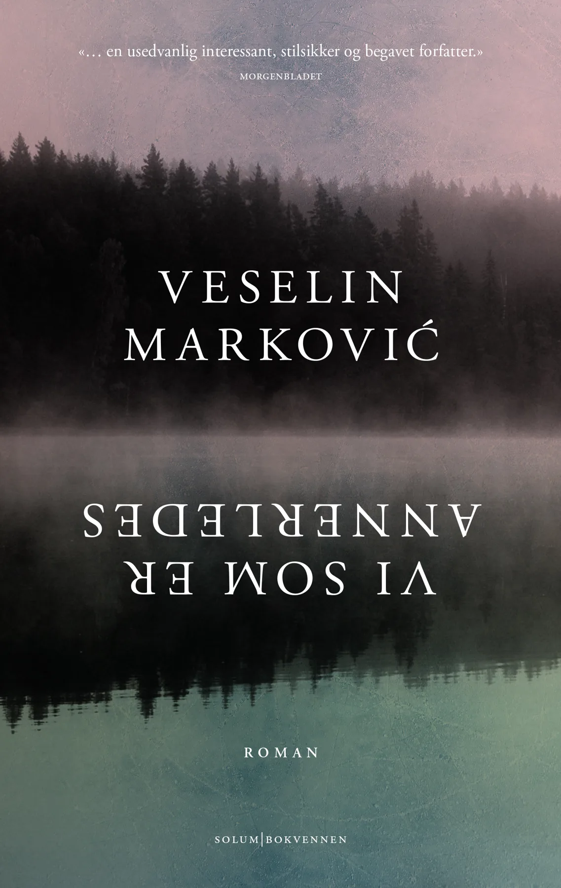 Ilustracija za tekst Roman Veselina Markovića Mi različiti na norveškom
