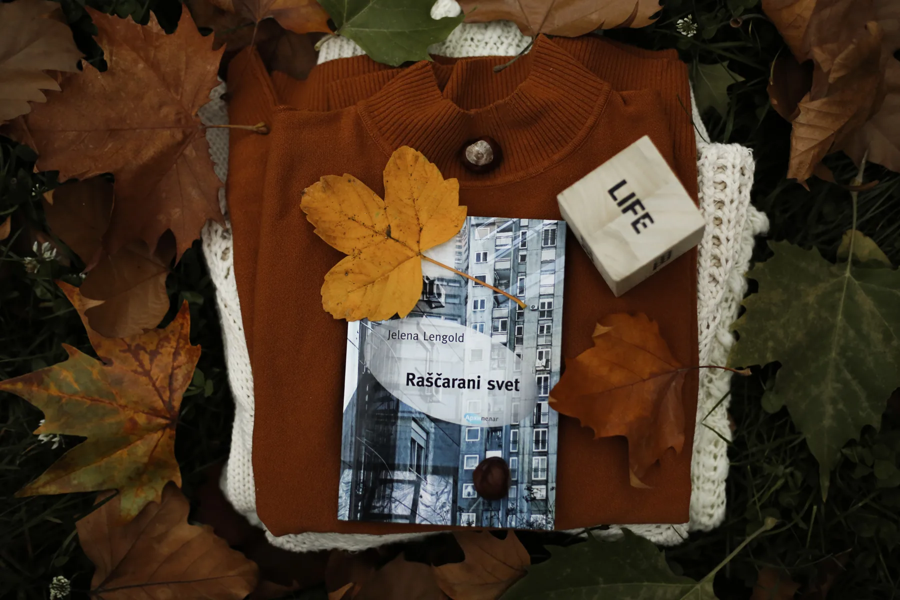 Neuhvatljivost by Aleksandra Madzar I nagrada