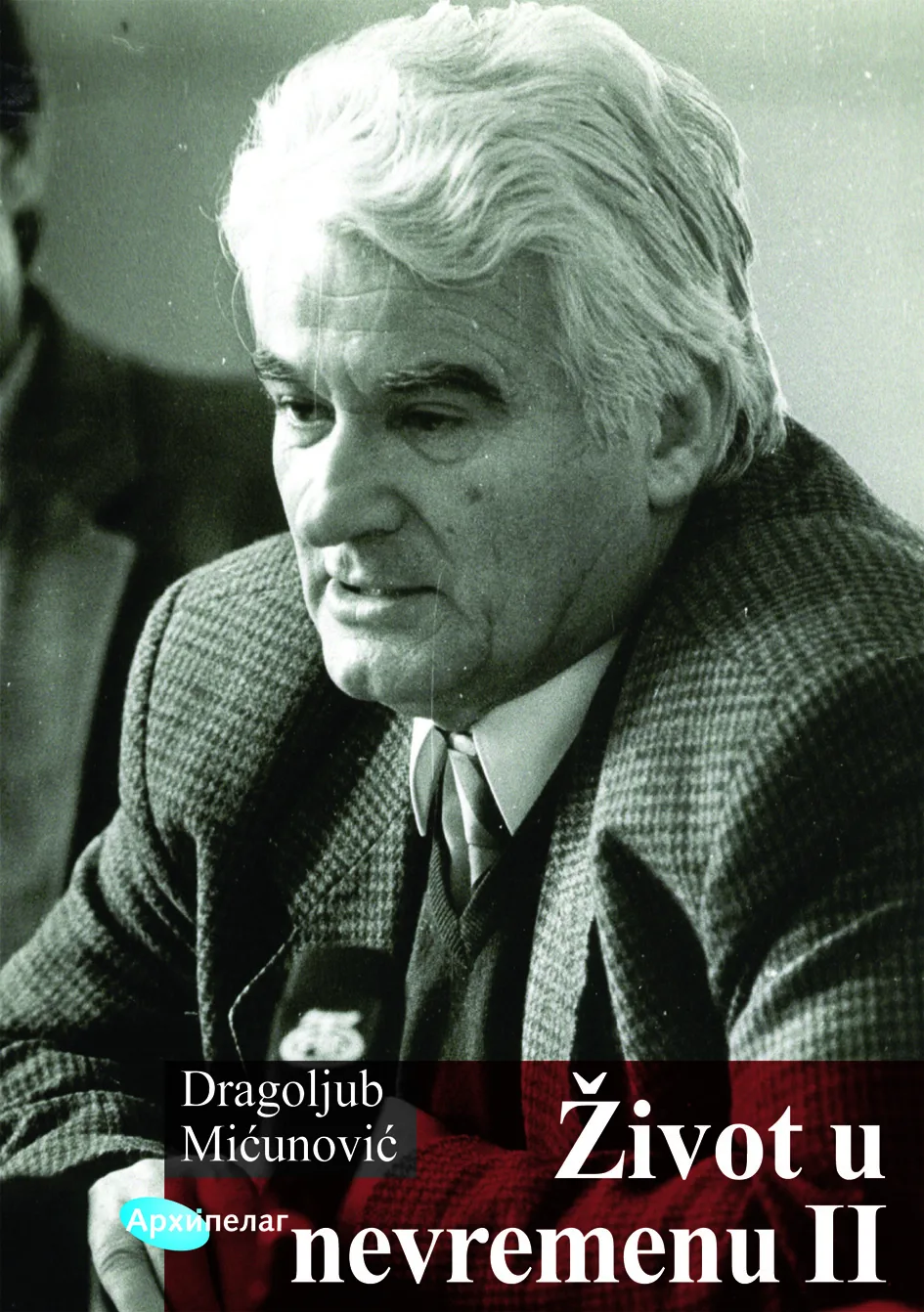 Ilustracija za tekst Dragoljub Mićunović u Nišu