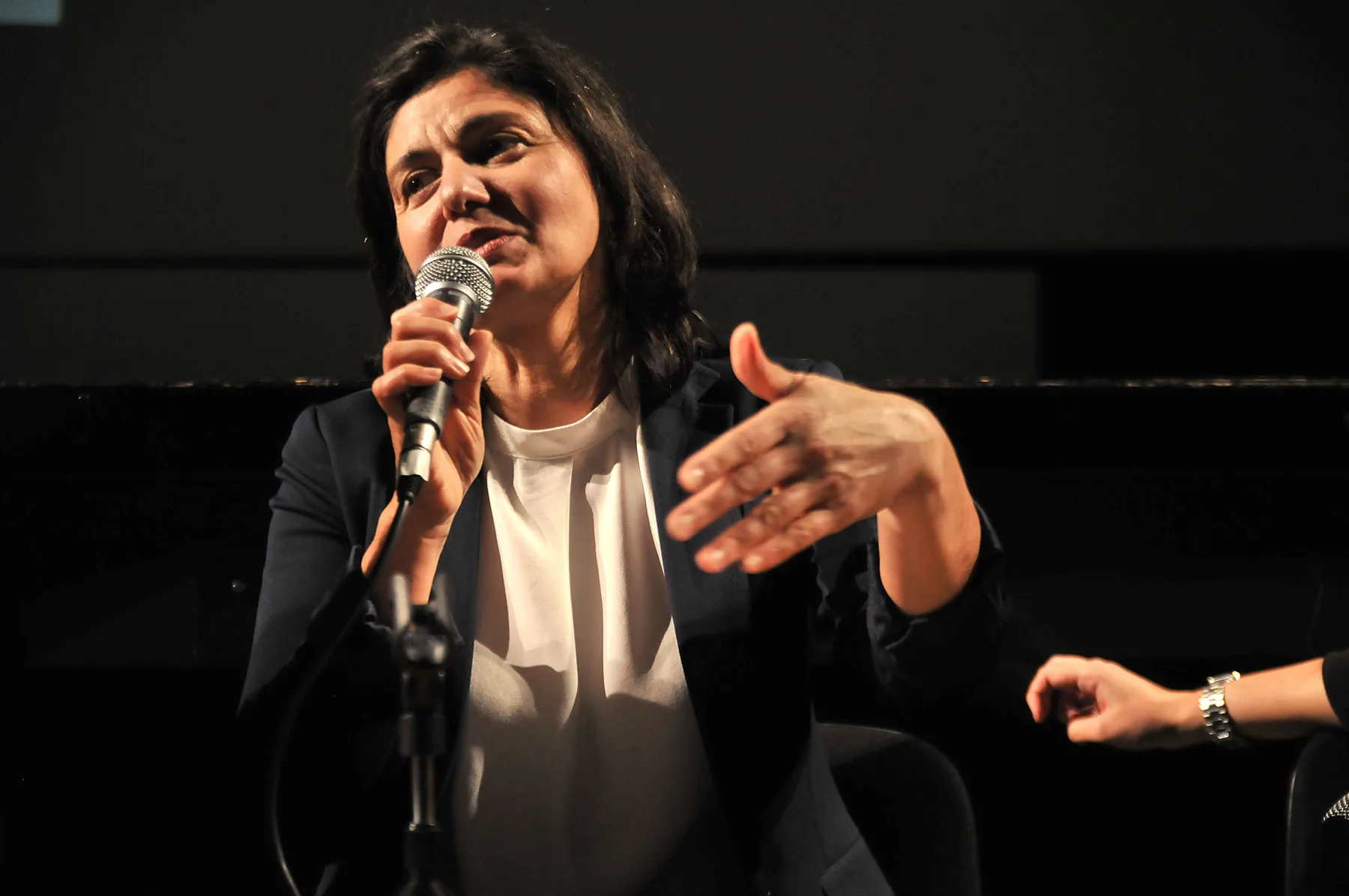 Ilustracija za tekst Milena Dragićević Šešić na panelu Kultura u tranziciji: Idemo ka polju sve veće kontrole