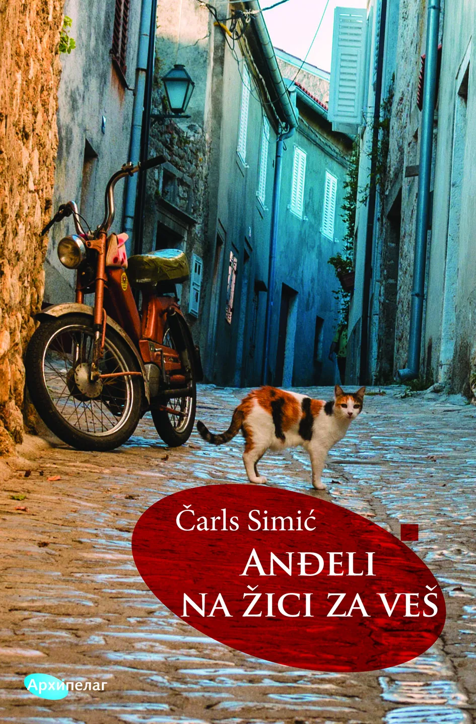 Korice knjige Anđeli na žici za veš