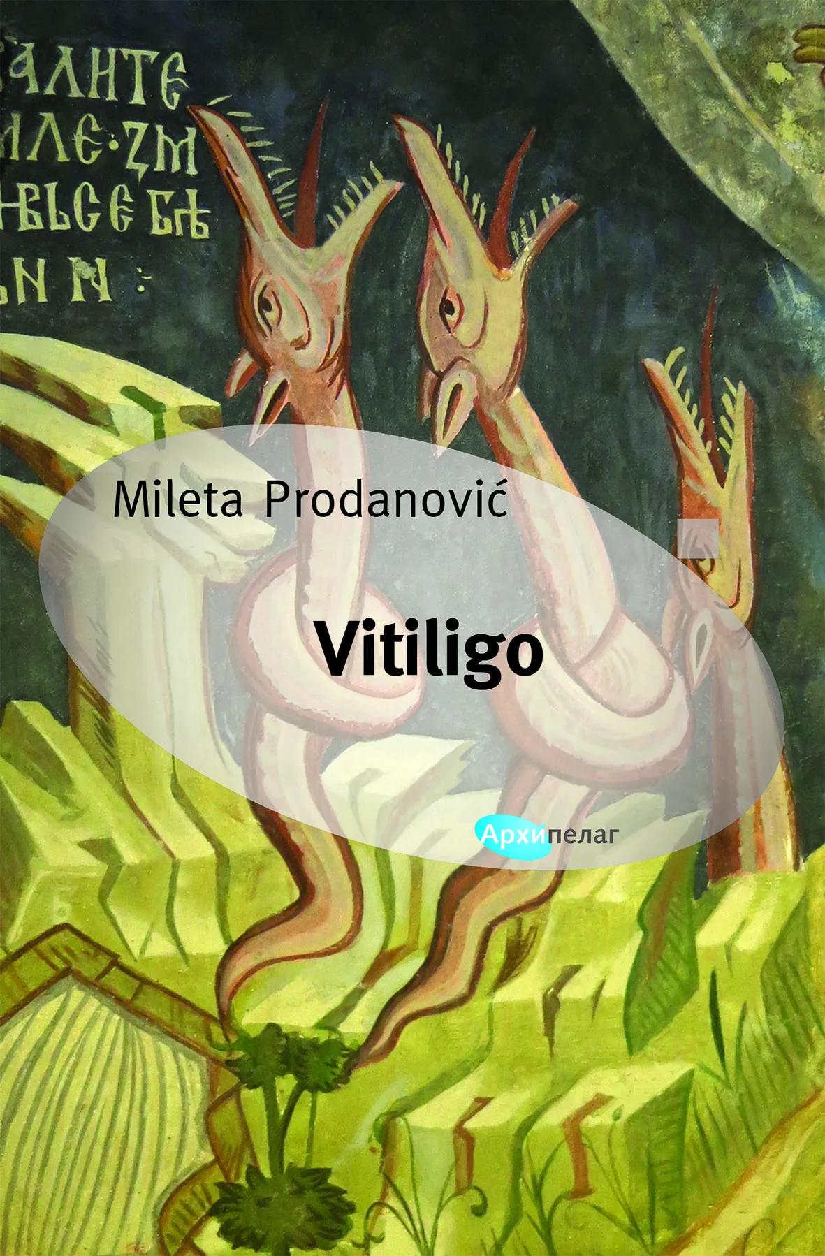 Korice knjige Vitiligo